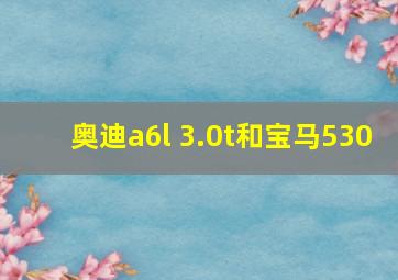 奥迪a6l 3.0t和宝马530